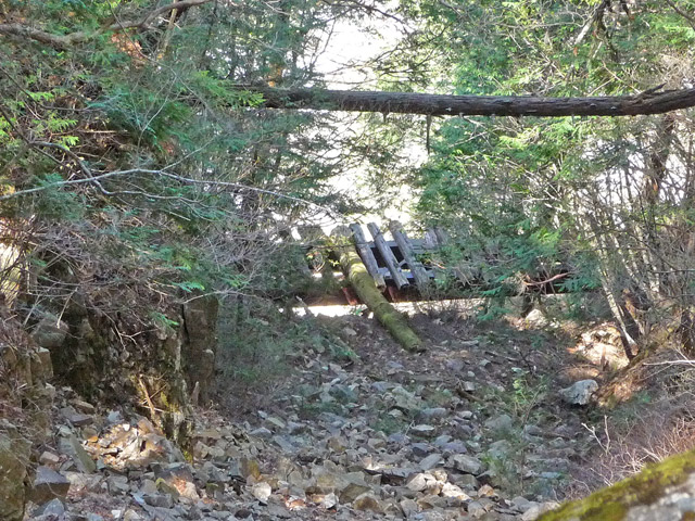 �ؑ]�X�ѓS�����������,�ѓS,�p����,���ꑺ,�V��≺����,�V��,�i���[�O��