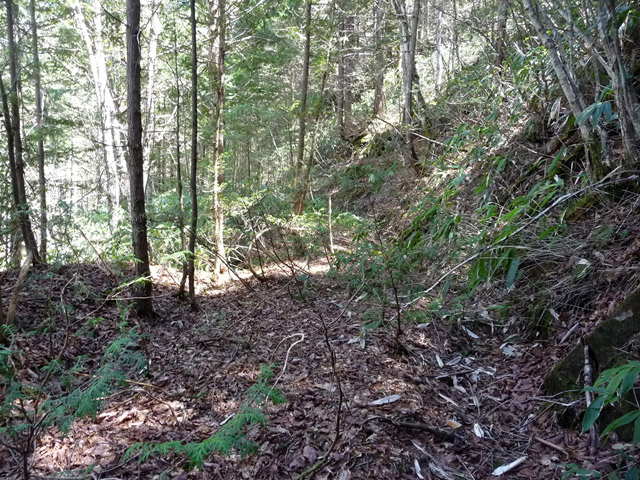 �ؑ]�X�ѓS�����������,�ѓS,�p����,���ꑺ,�ѓ�,�؍މ^���O��