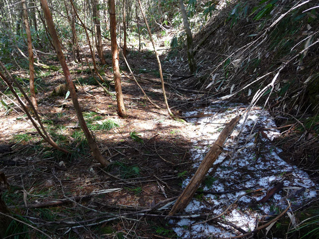 �ؑ]�X�ѓS�����������,�ѓS,�p����,���ꑺ,�ѓ�,�؍މ^���O��