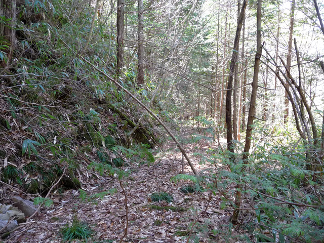 �ؑ]�X�ѓS�����������,�ѓS,�p����,����c�я�,�ѓ�,�O����