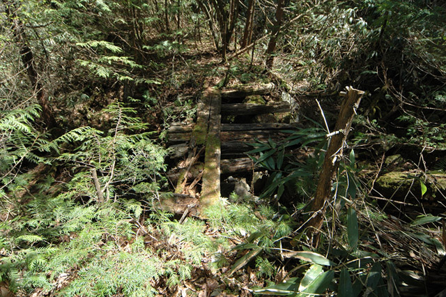 ��������X�ѓS��,�ѓS,�p����,�J��,�؋�,�i���[�O��