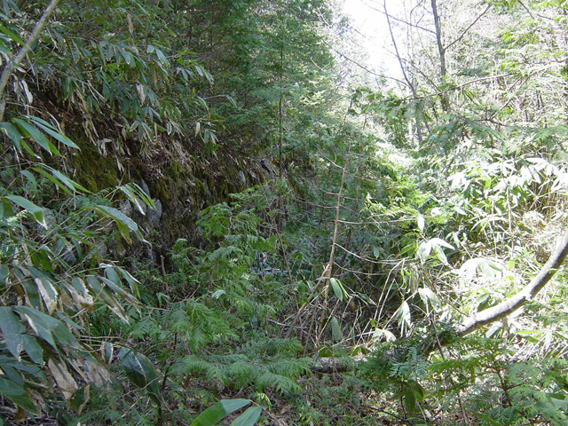 ��������X�ѓS��,�ѓS,�p����,�J��,�؋�,�O����