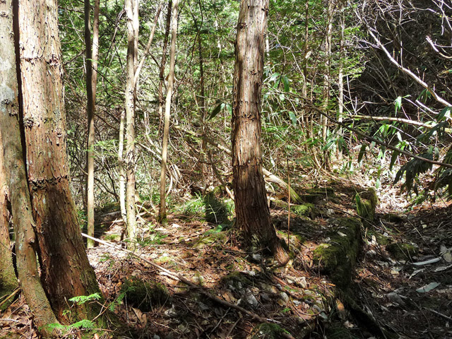 �ؑ]�X�ѓS�����������,�ѓS,�p����,����c�я�,�ѓ�,�O����