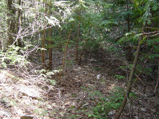 �ؑ]�X�ѓS�����������,�ѓS,�p����,�����X�ъǗ���,�H��,�O����