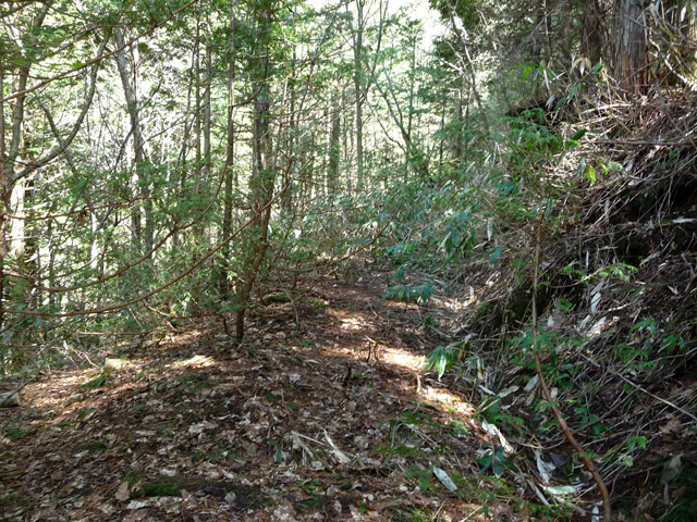 �ؑ]�X�ѓS�����������,�ѓS,�p����,������,����,�؍މ^���O����