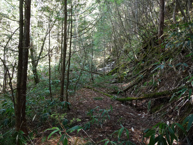 �ؑ]�X�ѓS�����������,�ѓS,�p����,���ꑺ,�ѓ�,�g���b�R�O��