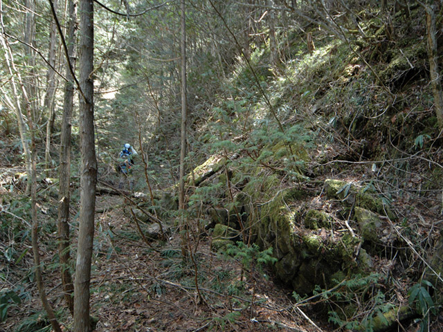 �ؑ]�X�ѓS�����������,�ѓS,�p����,���ꑺ,�ѓ�,�g���b�R�O��