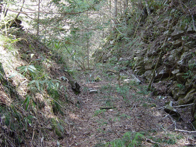 �ؑ]�X�ѓS�����������,�ѓS,�p����,���ꑺ,�؂�ʂ�,�i���[�O���@