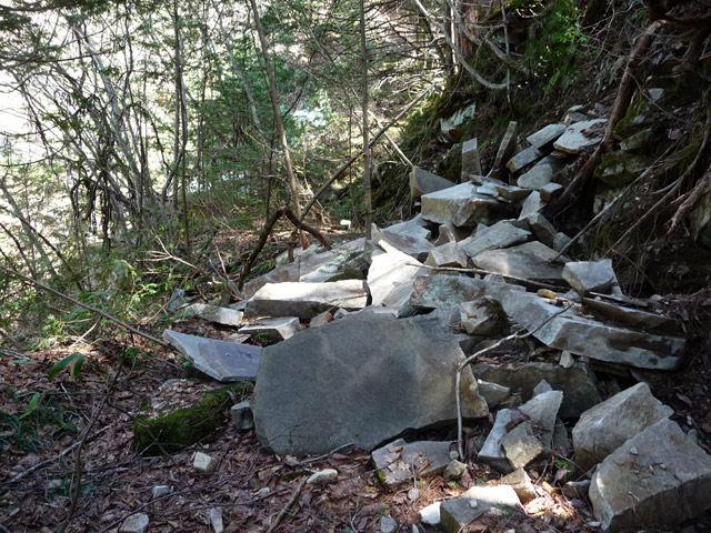 �ؑ]�X�ѓS�����������,�ѓS,�p����,���ꑺ,�R����,�i���[�O���@