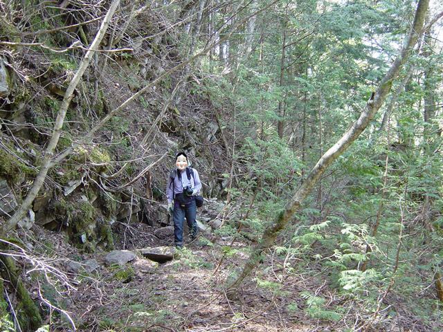 ��������X�ѓS��,�ѓS,�p����,�ѓ�,�����X�ъǗ���,�ؑ]�X�ъǗ���,�O����