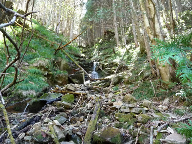 ��������X�ѓS��,�ѓS,�p����,�K����,���H,�k��,���ꑺ