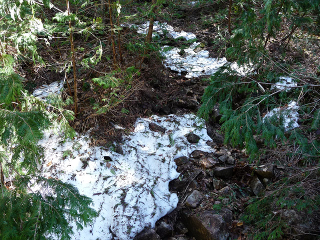 ��������X�ѓS��,�ѓS,�p����,�c��,�Ζ�,�R��,�㗬