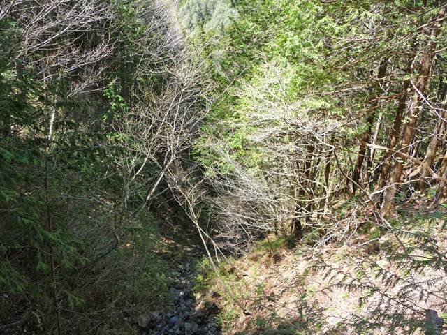 ��������X�ѓS��,�ѓS,�p����,�J��,�؋�,�K����,�����Y��