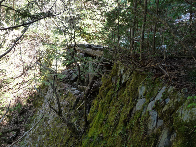 �ؑ]�X�ѓS�����������,�ѓS,�p����,�J��,�؋�,�i�ǁ@