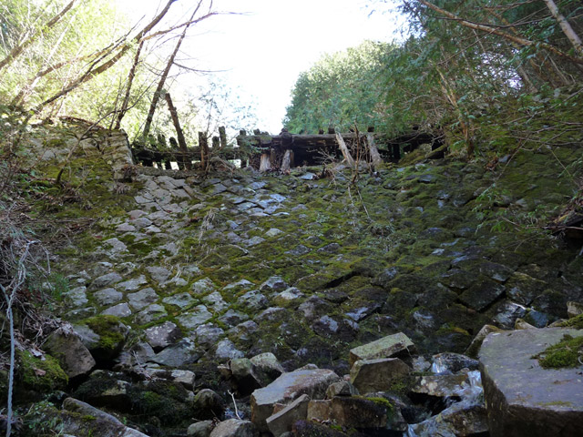 �ؑ]�X�ѓS�����������,�ѓS,�p����,�J��,�؋�,�i��