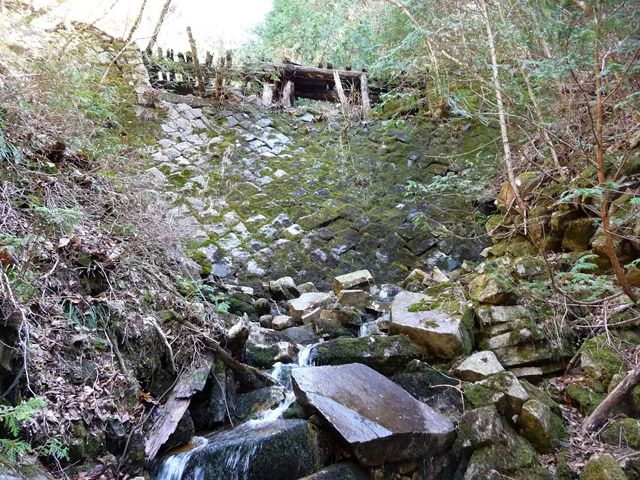 �ؑ]�X�ѓS�����������,�ѓS,�p����,�J��,�؋�,���畗