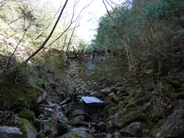 �ؑ]�X�ѓS�����������,�ѓS,�p����,�J��,�T�o�C�o��,�K���򉺂�