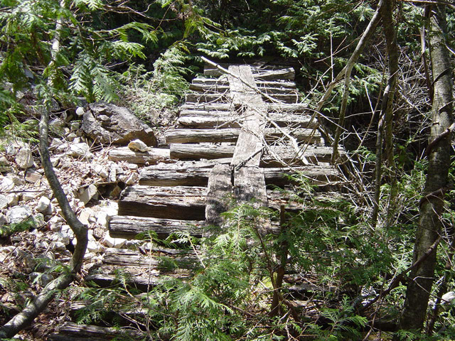 �ؑ]�X�ѓS�����������,�ѓS,�p����,�J��,�؋�,�O����