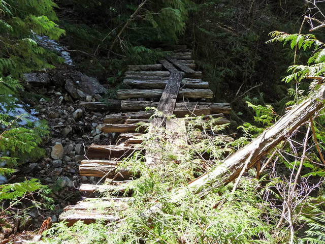 �ؑ]�X�ѓS�����������,�ѓS,�p����,�J��,�؋�,�O����