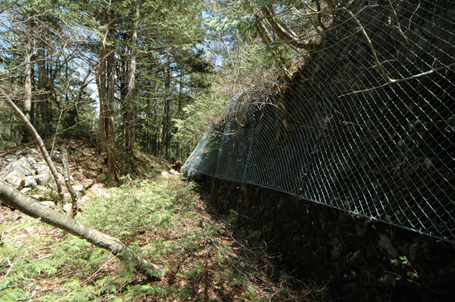 ��������X�ѓS��,�ѓS,�p����,���Ζh�~��,�y�؋O��,�ѓ�,�ؑ]