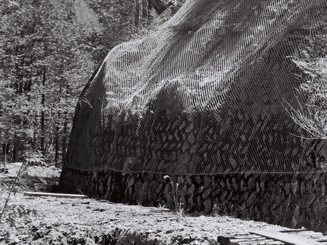 ��������X�ѓS��,�ѓS,�p����,���Ζh�~�l�b�g,�i���[�O��,�Ί_,�i��