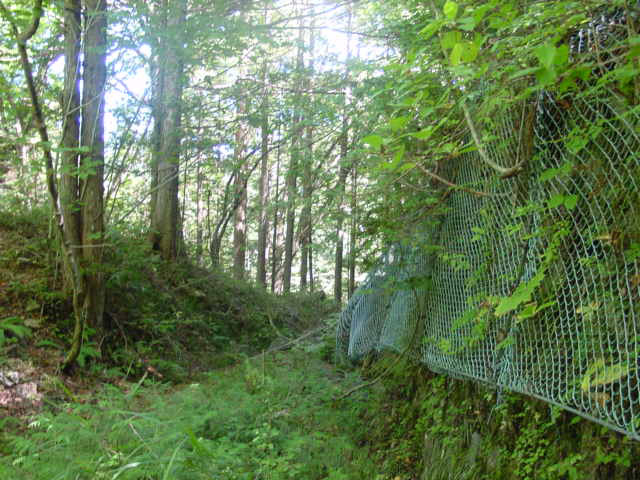 ��������X�ѓS��,�ѓS,�p����,���Ζh�~�l�b�g,�i���[�O��,�Ȑ�,�J�[�u���a