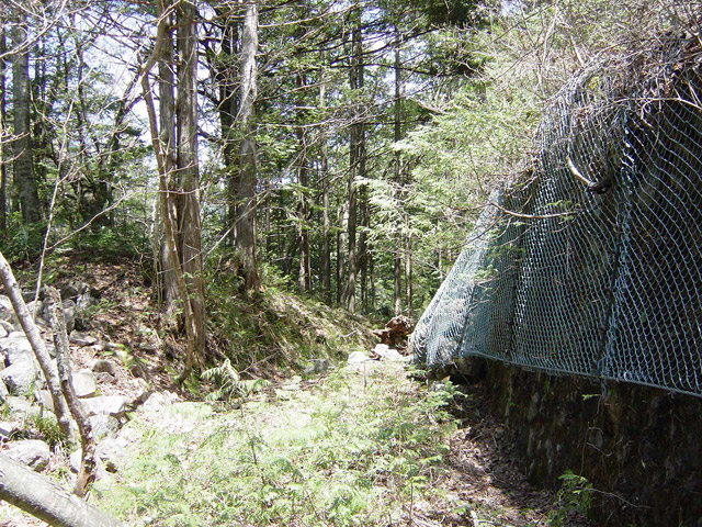 ��������X�ѓS��,�ѓS,�p����,���Ζh�~�l�b�g,�i���[�O��,�Ȑ�,�J�[�u���a