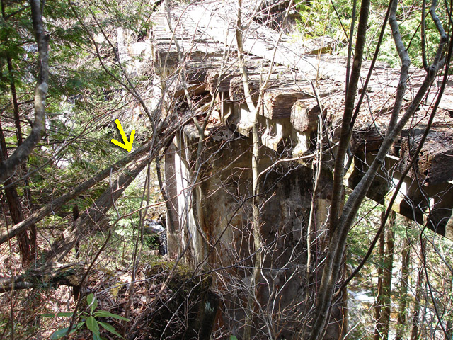 ��������X�ѓS�� �ѓS �p���� �M���򋴗� �O���� �n�V�S �c�[