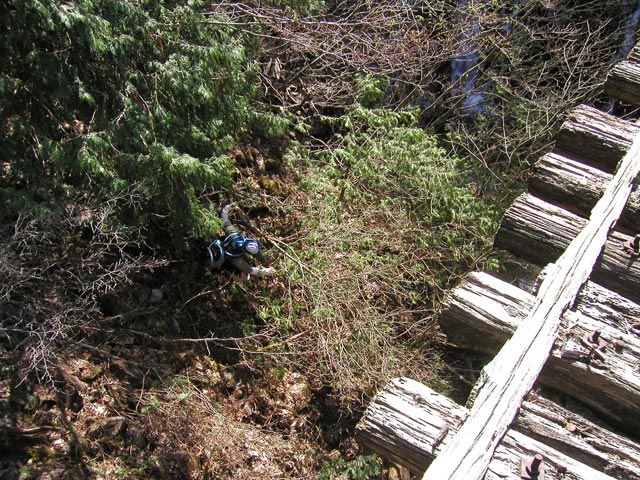 �ؑ]�X�ѓS����������� �ѓS �p���� �M���򋴗� ���~ ���ꑺ �i���[�O����