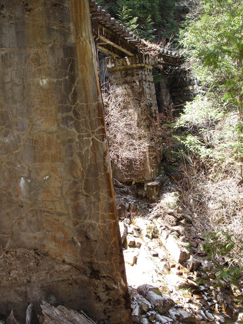 ��������X�ѓS�� �ѓS �p���� �M���򋴗� �O���� PC�� �包