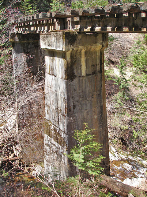 ��������X�ѓS�� �ѓS �p���� �M���򋴗� �O���� PC�� �R���N���[�g�̋�