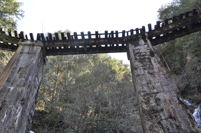 ��������X�ѓS�� �ѓS �p���� �M���򋴗� �؍މ^���O���� ���ꑺ �L�^