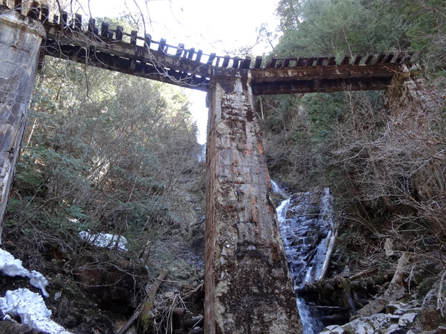 ��������X�ѓS�� �ѓS �p���� �M���򋴗� �؍މ^���O���� ���ꑺ �I�X�̐X