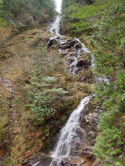 ��������X�ѓS�� �ѓS �p���� �M���򋴗� ���ꑺ �M����̑� �O�K��