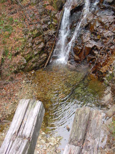 ��������X�ѓS�� �ѓS �p���� �M���򋴗� ��� �M����̑� �O�K��