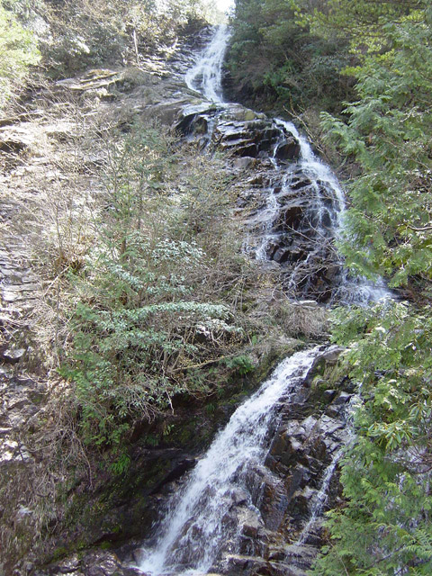 ��������X�ѓS��,�ѓS,�p����,�K����,���ꑺ,�؍މ^���O����