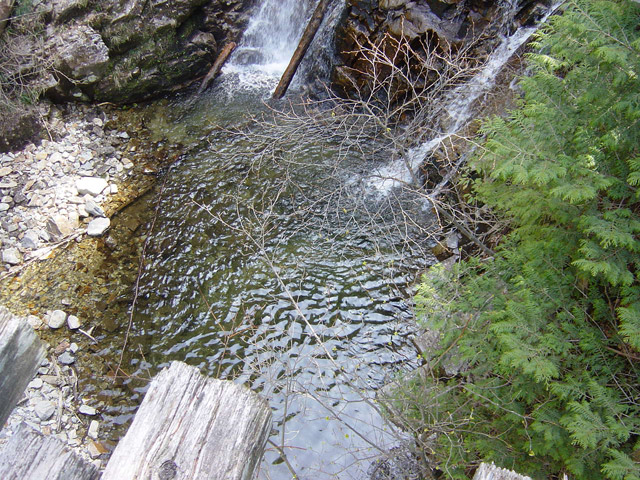 ��������X�ѓS�� �ѓS �p���� �M���򋴗� ��� �M����̑� �O�K��