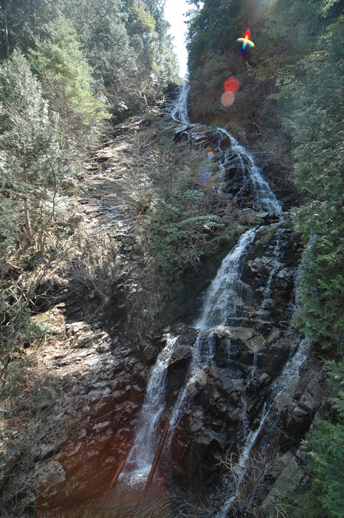 ��������X�ѓS��,�ѓS,�p����,�K����,���ꑺ,�؍މ^���O����