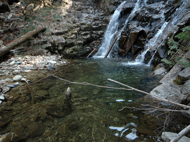 �ؑ]�X�ѓS����������� �ѓS �p���� �M���򋴗� �M����̑� �O�K�� ���