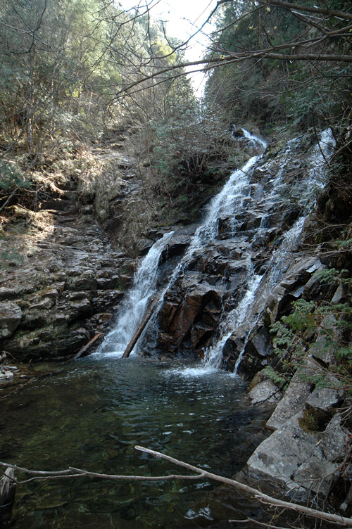 �ؑ]�X�ѓS����������� �ѓS �p���� �M���򋴗� �M����̑� �O�K�� ���ꑺ