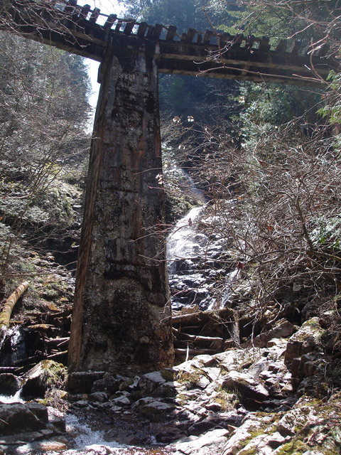 �ؑ]�X�ѓS����������� �ѓS �p���� �M���򋴗� �M����̑� �O�K�� ���ꑺ