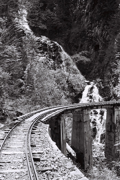 ��������X�ѓS��,�ѓS,�p����,�K����,���ꑺ,�؍މ^���O����