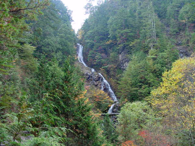 �ؑ]�X�ѓS����������� �ѓS �p���� �M���򋴗� �M����̑� �O�K�� �L���B�e�n