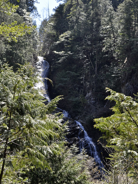 �ؑ]�X�ѓS����������� �ѓS �p���� �M���򋴗� �M����̑� �O�K�� �I�X�̐X