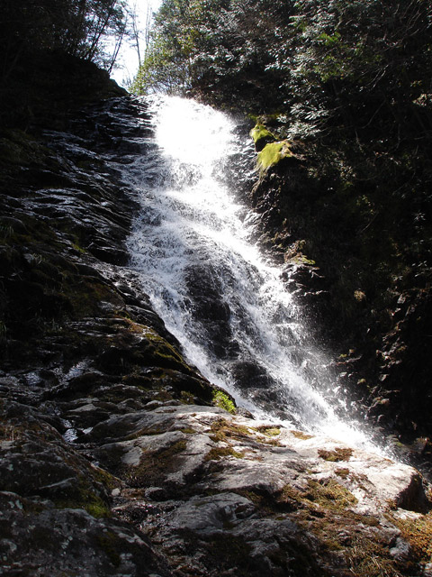 ��������X�ѓS�� �ѓS �p���� �M���򋴗� ������ ��i�� �O�K��