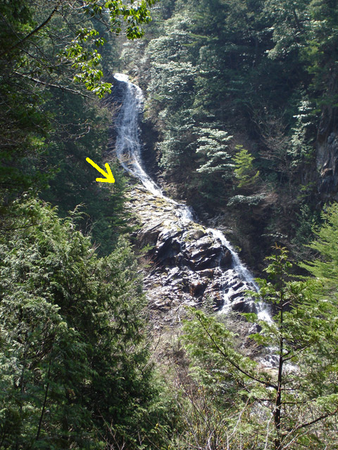 ��������X�ѓS�� �ѓS �p���� �M���򋴗� ��o�� ���ꑺ �O�K��S�i