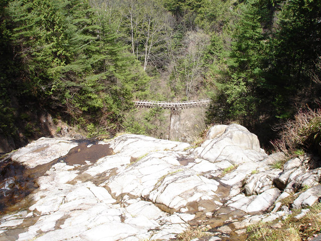 ��������X�ѓS�� �ѓS �p���� �M���򋴗� �ؑ] ���ꑺ �O�K��