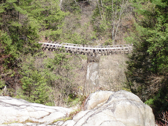 ��������X�ѓS�� �ѓS �p���� �M���򋴗� �ؑ] �i���[�O���� �O�K��