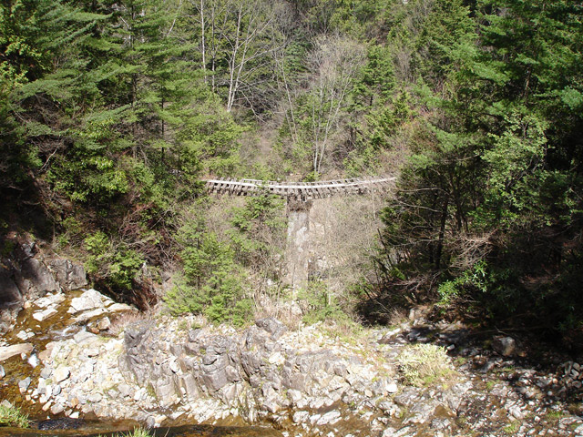 �ؑ]�X�ѓS����������� �ѓS �p���� �M���򋴗� �M����̑� �O�K�� �I�X�̐X