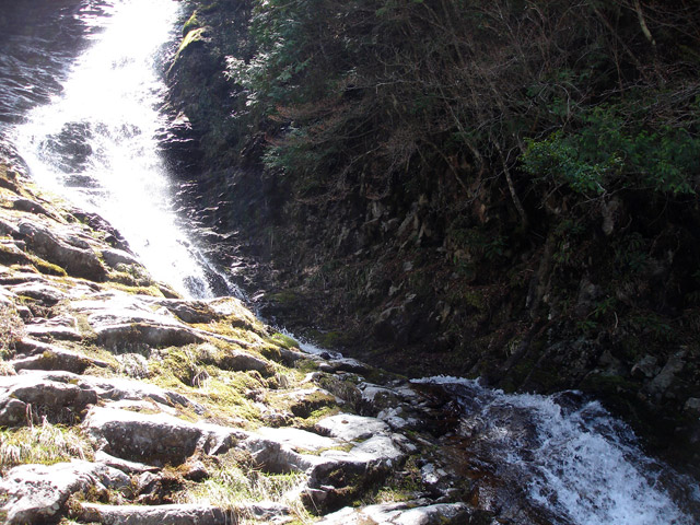 �ؑ]�X�ѓS����������� �ѓS �p���� �M���򋴗� �M����̑� �O�K�� �ؑ]